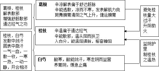 图清热角药图片2.png