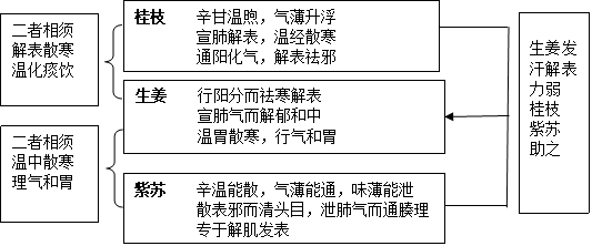 图清热角药图片3.png