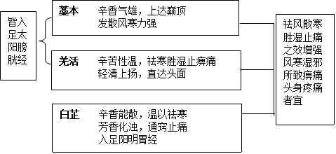图清热角药图片42.png