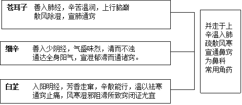 图清热角药图片52.png