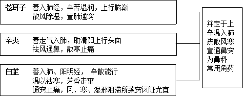 图清热角药图片62.png