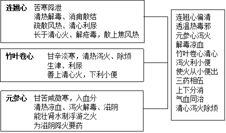 角药图片2152.png