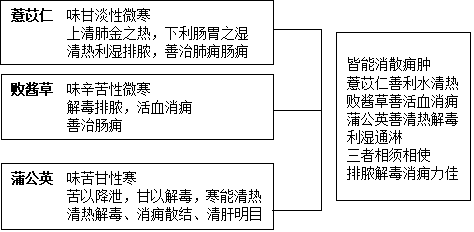 角药图片2172.png